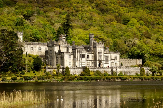 Ирландский-замок-аббатство-Арлингтон-лебеди